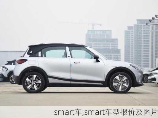 smart车,smart车型报价及图片