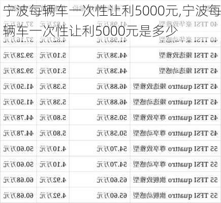 宁波每辆车一次性让利5000元,宁波每辆车一次性让利5000元是多少