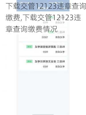 下载交管12123违章查询缴费,下载交管12123违章查询缴费情况