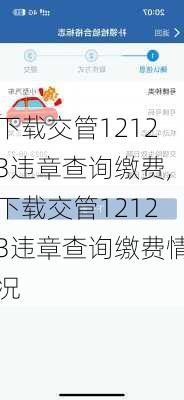 下载交管12123违章查询缴费,下载交管12123违章查询缴费情况