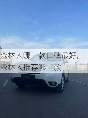 森林人哪一款口碑最好,森林人推荐哪一款