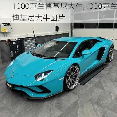 1000万兰博基尼大牛,1000万兰博基尼大牛图片