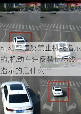 机动车违反禁止标线指示的,机动车违反禁止标线指示的是什么