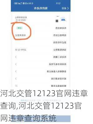 河北交管12123官网违章查询,河北交管12123官网违章查询系统