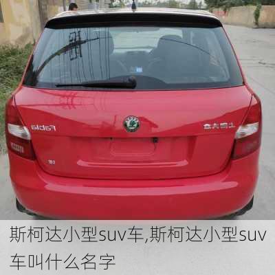 斯柯达小型suv车,斯柯达小型suv车叫什么名字