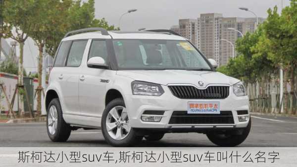 斯柯达小型suv车,斯柯达小型suv车叫什么名字