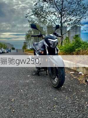 骊驰gw250,