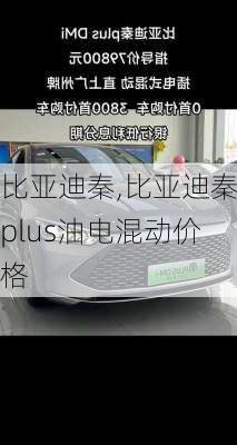 比亚迪秦,比亚迪秦plus油电混动价格