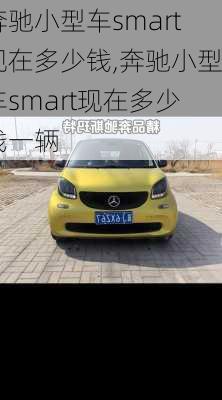 奔驰小型车smart现在多少钱,奔驰小型车smart现在多少钱一辆