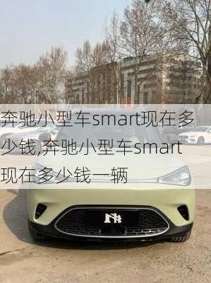 奔驰小型车smart现在多少钱,奔驰小型车smart现在多少钱一辆