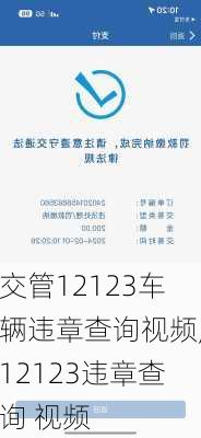 交管12123车辆违章查询视频,12123违章查询 视频