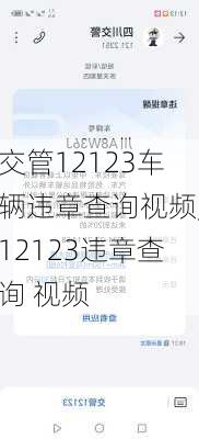 交管12123车辆违章查询视频,12123违章查询 视频