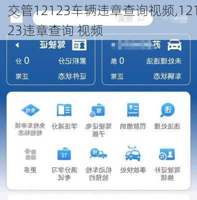 交管12123车辆违章查询视频,12123违章查询 视频