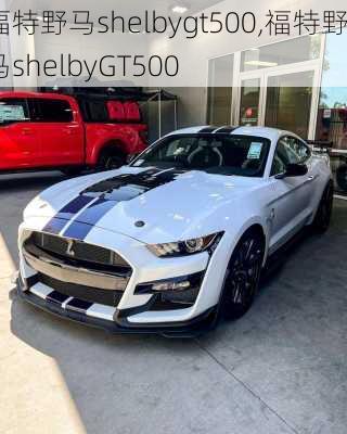 福特野马shelbygt500,福特野马shelbyGT500