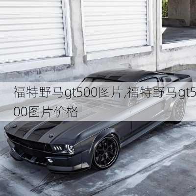 福特野马gt500图片,福特野马gt500图片价格